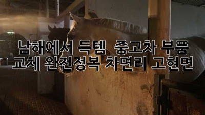 남해에서 득템?! 🚗 중고차 부품 교체 완전정복! #차면리 #고현면